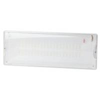 Светильник светодиодный DPA-301-1-65 IP65 40LED 3ч аварийный постоянный Эра Б0051843