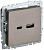 Розетка BRITE USB A+C 18Вт РЮ11-1-БрШ шампань IEK BR-U22-018-K37