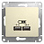 Розетка USB 2-м СП Glossa тип A+A 5В/2.1А 2х5В/1.05А механизм беж. SE GSL000233